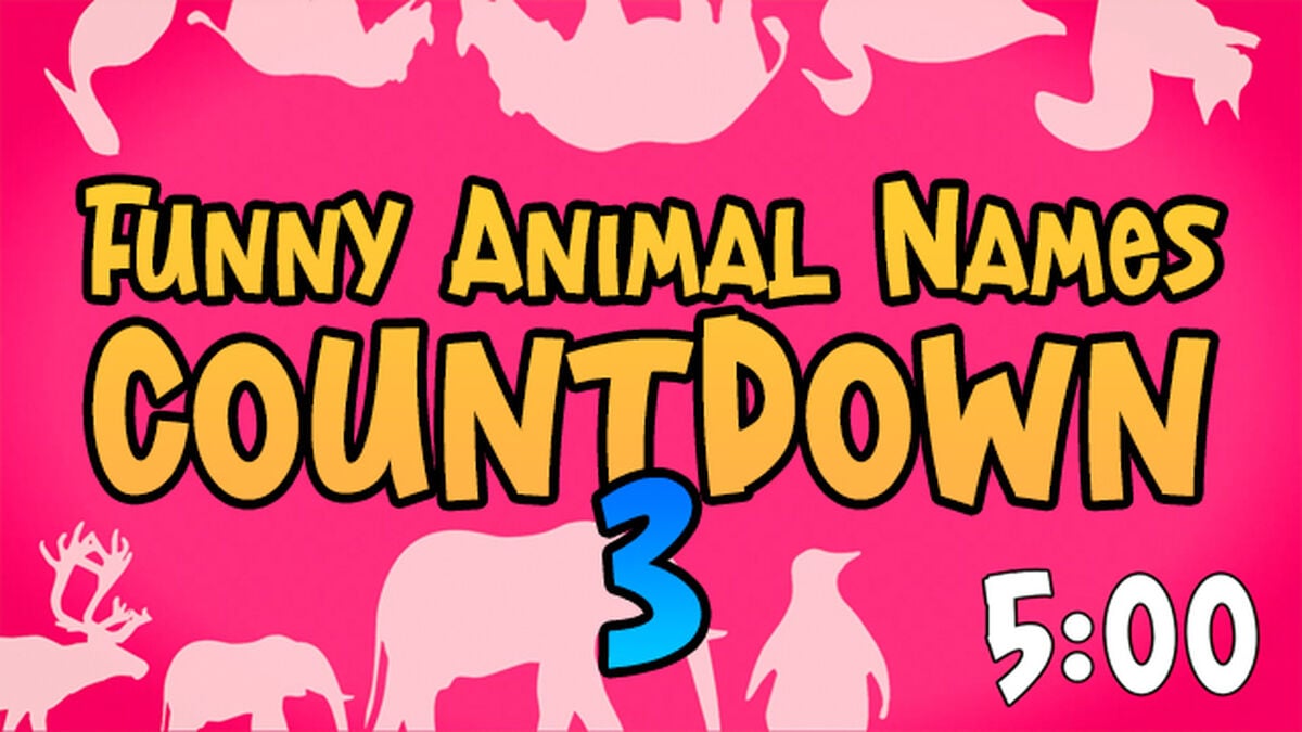Funny Animal Names Countdown 3 image number null
